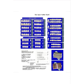 Full Set Synthetic Polymer Acrylic teeth denture