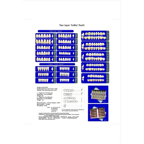 Resin Teeth Full Set Synthetic Polymer Acrylic teeth denture Manufactory