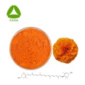 Marigold Extract Lutein Powder 10% Eye Care Material