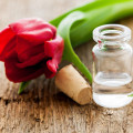 Aceite esencial de tulipán de entrega rápida