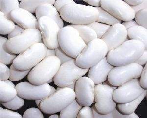 Large White Kidney Bean