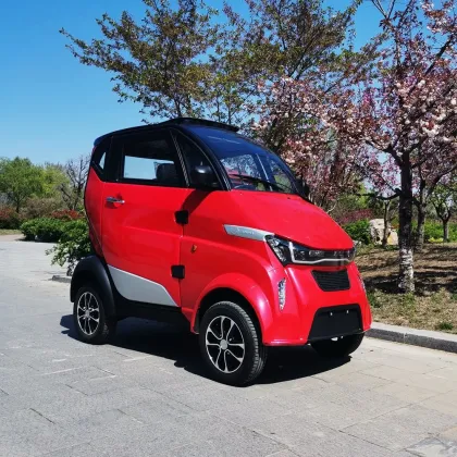 Sightseeing Electric Vehicles Without Driving License