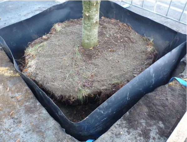 حماية الأشجار عالية الجودة حاجز الجذر HDPE الغشاء الجيوماني