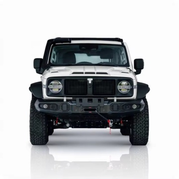 New 2024 Great Wall Tank 300: 4WD Off-road SUV with 227HP, Now on Hot Sale