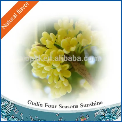 Osmanthus Absolute - fragrance perfume oil
