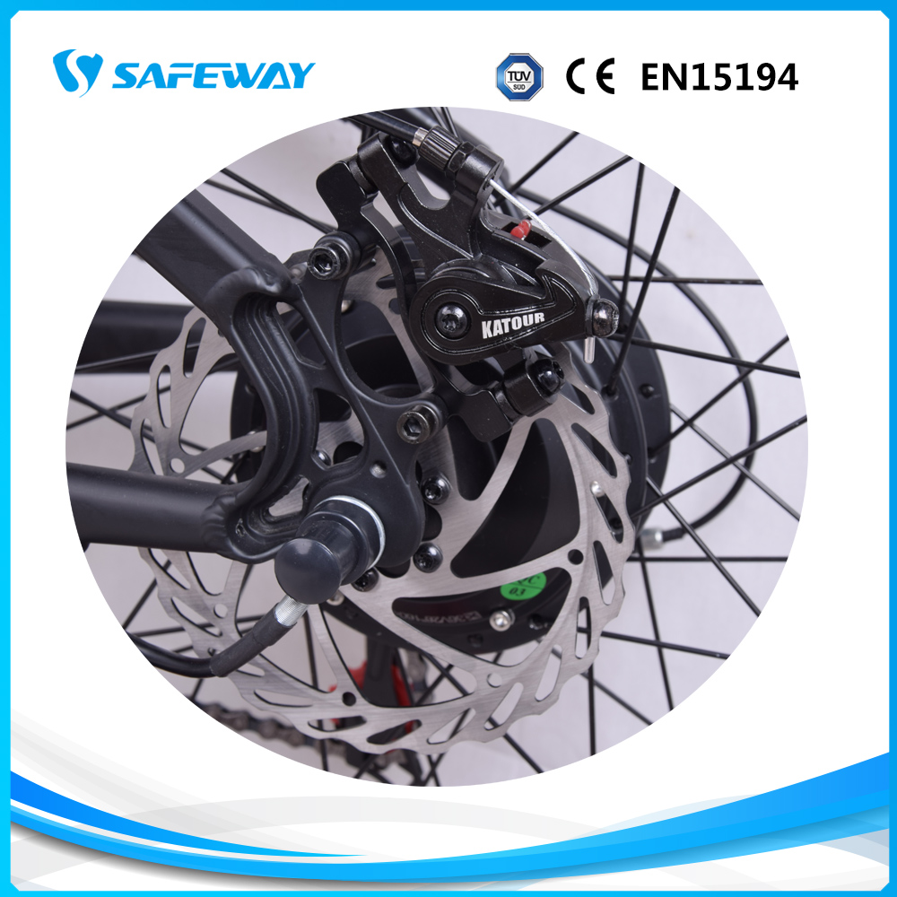 Disc brake electric bike