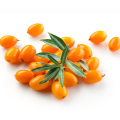 Sea Buckthorn Fruit Extracto de fruta de espino de mar de mar en polvo
