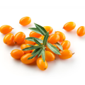 Sea buckthorn fruit powder bulk raw material