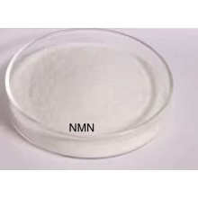 BETA NICOTINAMIDE MONONUCLEOTIDE NMN CAS NO 1094-61-7