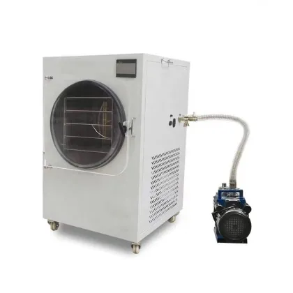 Home Freeze Dryer Machine: Small Freeze Dryer with Vacuum Pump for Candy