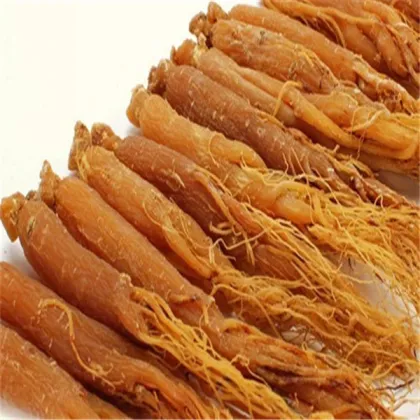 panax Ginseng Radix et Rhizoma renshen panax Ginseng