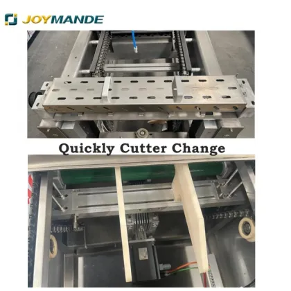 Automatic Parmesan Cheese Block and String Cheddar Cheese Thermoforming Vacuum Packaging Machine