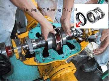 Pump Bearing 7307 7309 7312 Nu307 Nu309 Nu312 Bearing for Motors of Pumps,