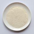 Premium Instant Garlic Fine Powder