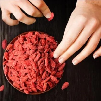 farmers  sales 100% pure goji berry