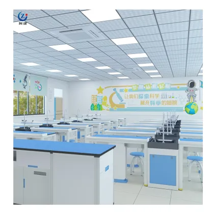 Used Science Laboratory Table for Kids