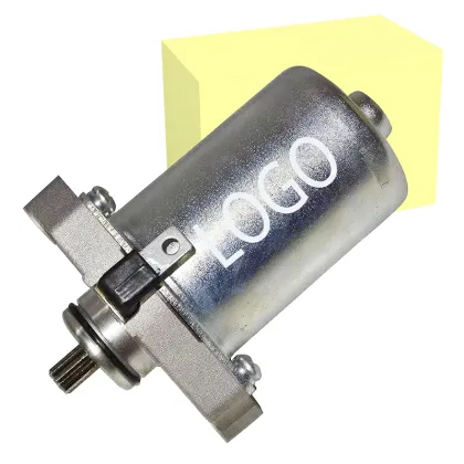 High Quality Factory PEP Scooter Motors: PEP Plus, Streak, Zest, and Electric Self-Starter Motor Assay