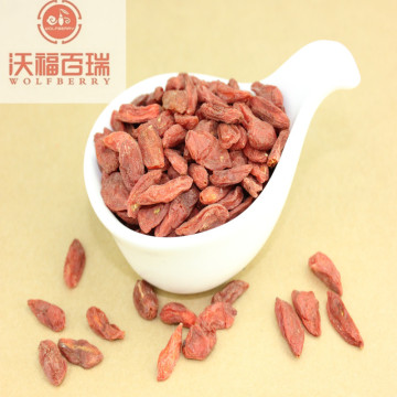 Wholesale New Harvest GMP Factory goji berries