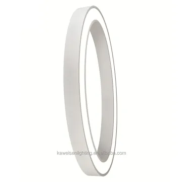 Modern Loop Collection Ceiling & Wall Mount Lighting: Aluminum LED Circular Elliptical Lights for Hotel and Mall Décor