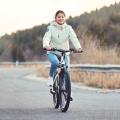 Himo C26 Electric Cykel Folding Electric Bike