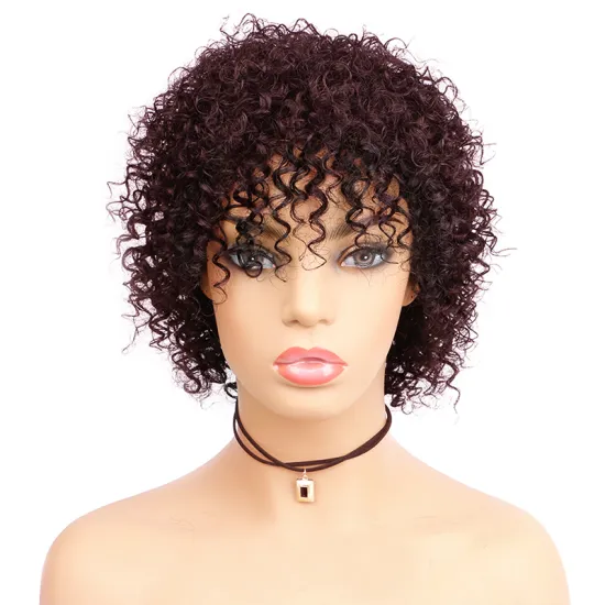 Mongolian Afro Kinky Curly Wig With Bangs Ombre Curly Human Hair Wig Full Machine Made 1b 27 30 99j Perruque Afro Cheveux Human