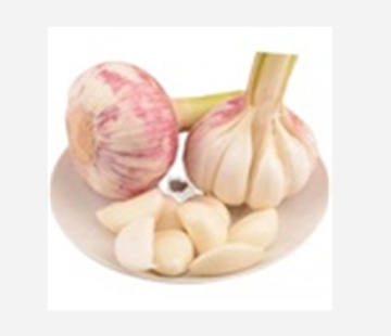 New Crop Good Quality Chinese Fresh White Garlic
