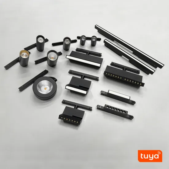 LuxHolic DC48V Dimmable Recessed Spotlight Linear Rail with Zigbee TUYA APP Control Smart System