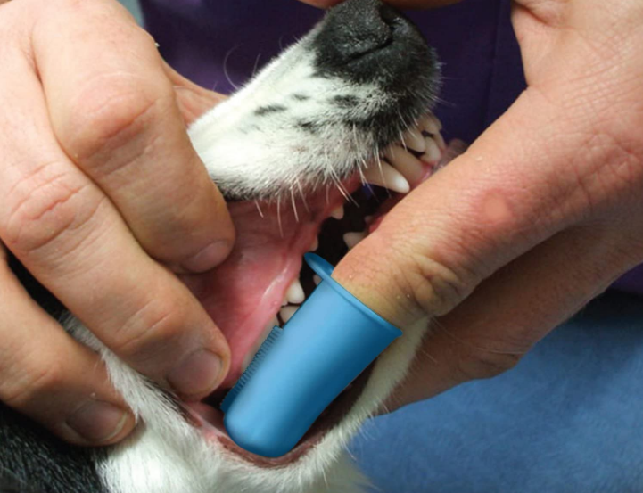 Silicone Pet Toothbrushes