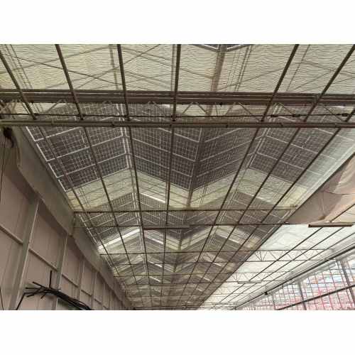 Greenhouse Solar Photovoltaic Panel