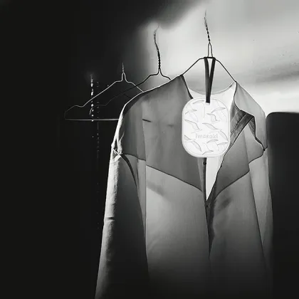 Healcier Moisture Absorber Desiccant Dry Ornament Block