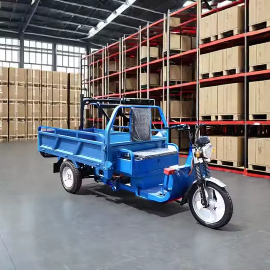1200W Electric Cargo Tricycle Truck - 70-80km Range Simple Tricycle