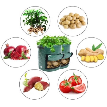 Potato and Carrot Grow Bags: 7 Gallon Heavy Duty Woven Fabric Planting Boxes for Aeration and Vegetable Gardening