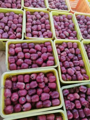 Crispy Sweet Juicy Chinese Red Fresh FUJI Apple