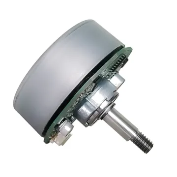 BL6208-01 Brushless Permanent Magnet Motor - MAINTEX