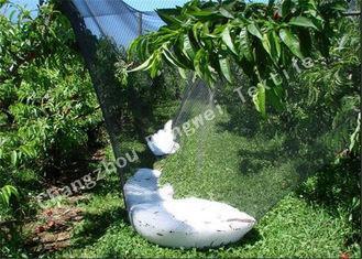 Professional Plastic Anti Hail Netting for Fruit Tree Shade