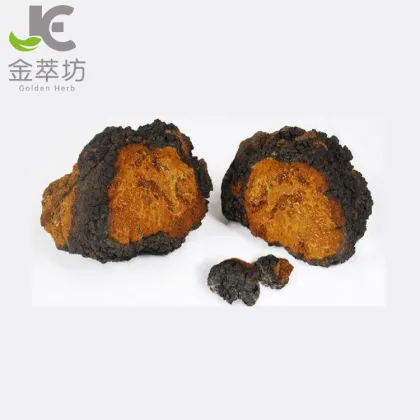 siberian chaga mushroom extract 30% Polysaccharide powder