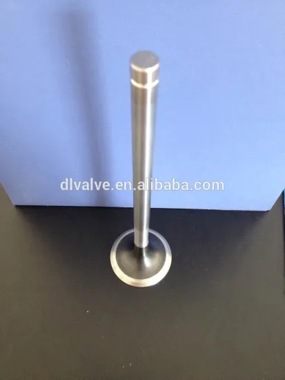 INTAKE&EXHUAST VALVE FOR FORD OEM IN 702M6507BB EX 702M6505BA