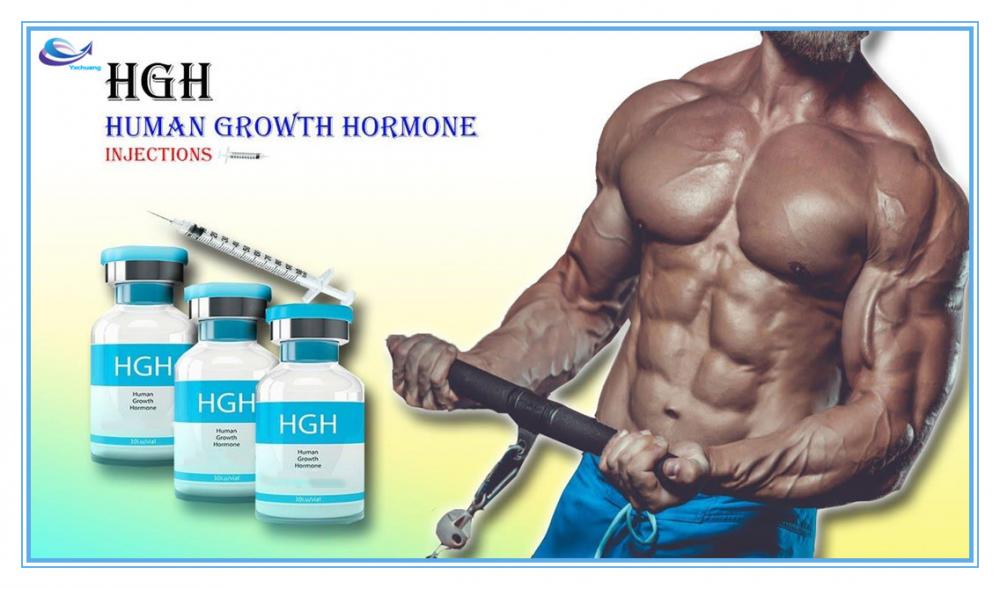 what does human growth hormone do