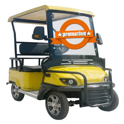 Electric Golf Carts and UTVs: Cheap Prices on 4-Wheel Buggies and Mini Cars