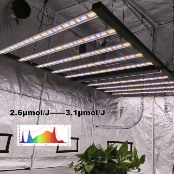 luces de cultivo de espectro completo para plantas de plántulas de interior