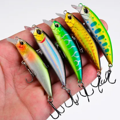 Top Selling Salt Water Bass Lures: Drone Bait Shad for Ocean Boat Fishing in Japan