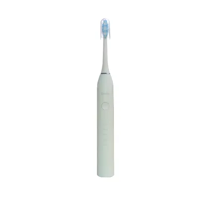 Adult Sonic Electric Toothbrush IPX7 Household