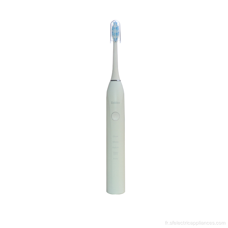 Brosse à dents électrique sonique adulte IPX7 domestique