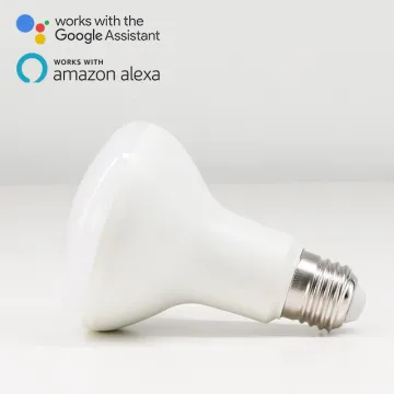 Indoor Smart Remote Control Multicolor Dimmable RGB