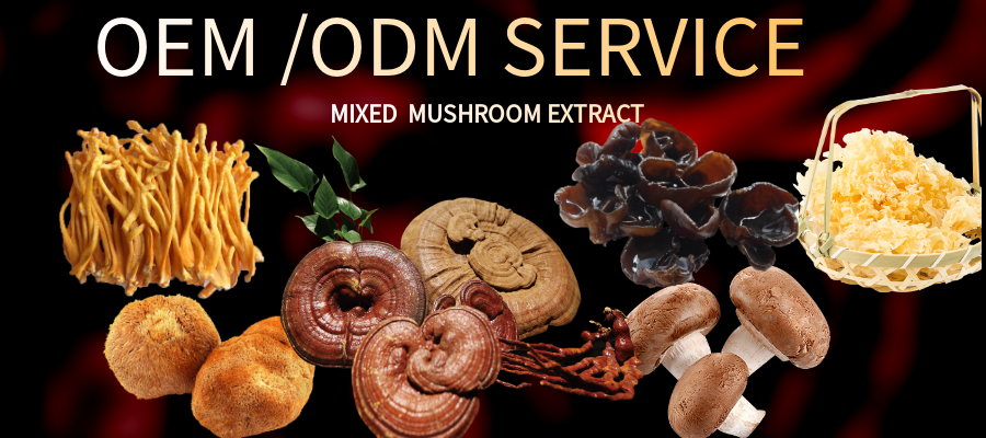 mushroom extract adhd