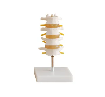 Lumbar Set (4 pcs)