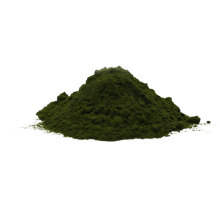 poudre de chlorella biologique pure en gros