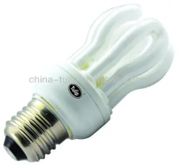 induction lamp