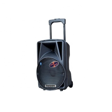Wireless Rechargeable Portable Karaoke Speaker - Temeisheng 10