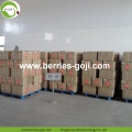 Wholesale Nutrition Healthy Low Pesticide Goji Berry